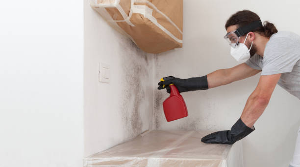 Professional Attic Mold Remediation technician working in Hertford, NC