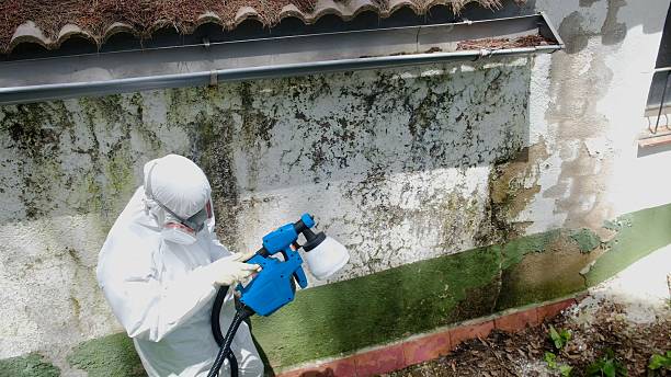 Top rated local Attic Mold Remediation specialists in Hertford, NC